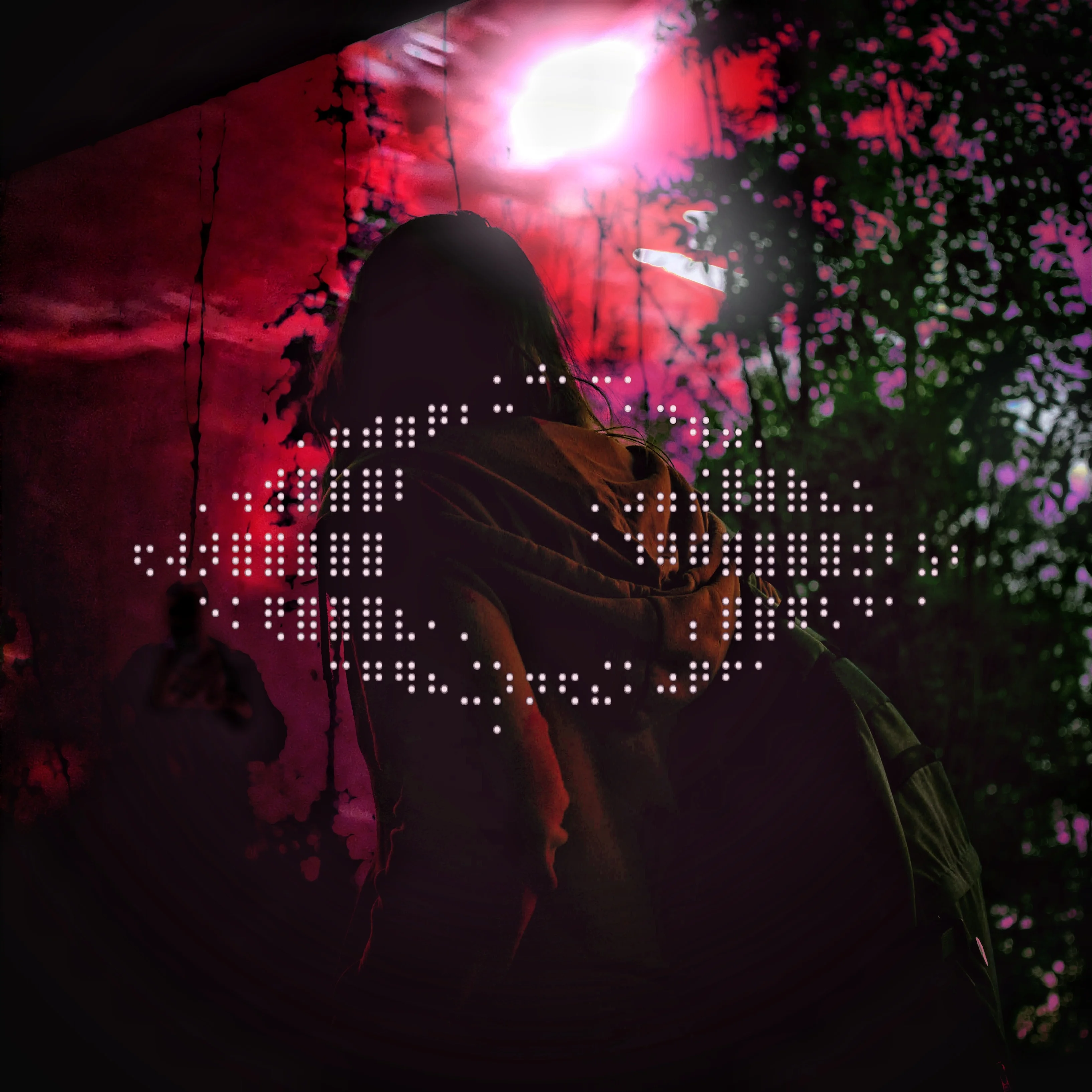 I'm Still Here - mango mango mango's Debut Album Cryptid Country 